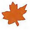 Mylar Confetti Shapes Maple Leaf (5")